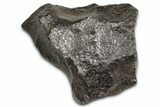 Gibeon Iron Meteorite ( g) - Namibia #378690-1